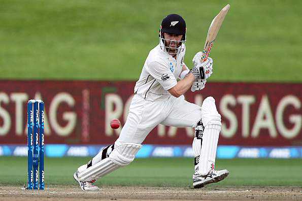 Kane Williamson stroked a record-equalling 17th Test ton in Hamilton