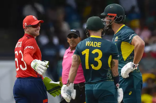 Matthew Wade was unhappy with the umpire's decision